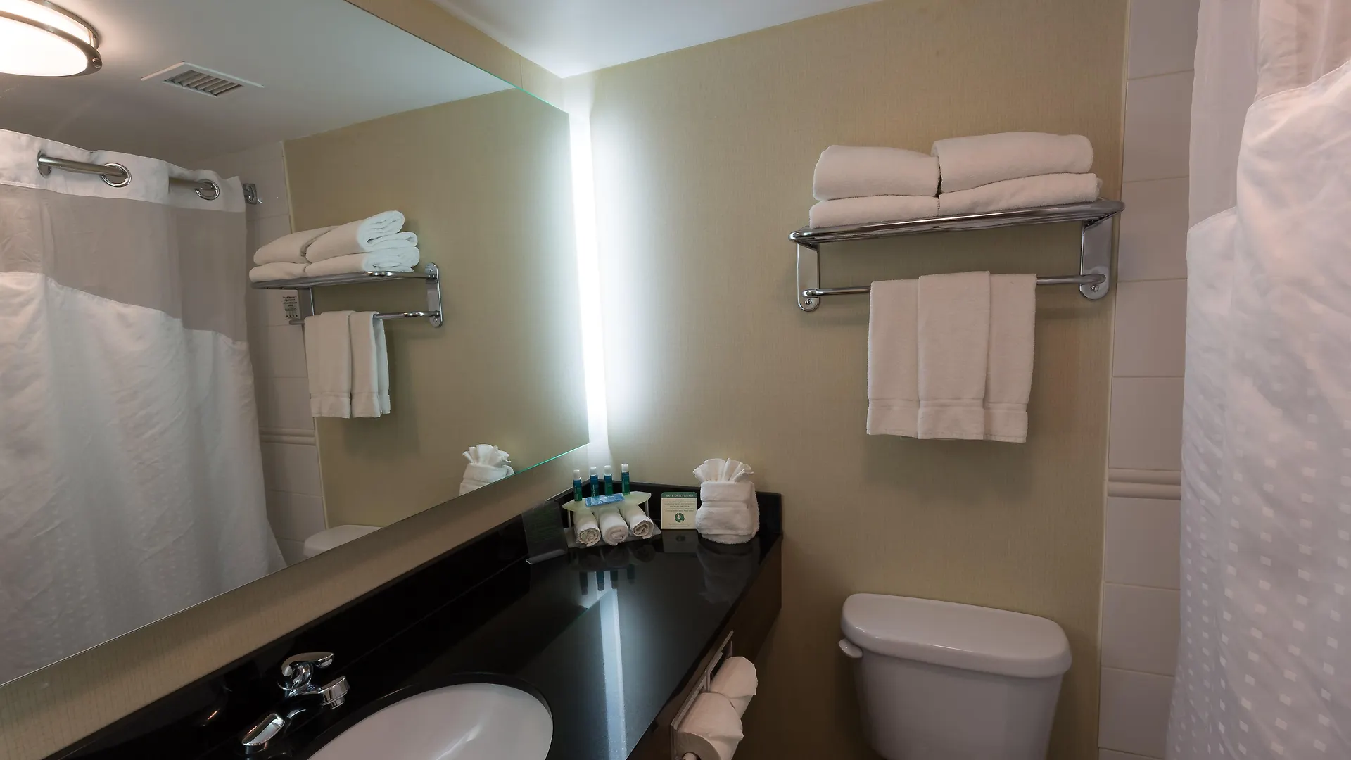 Holiday Inn Express Edmonton Downtown By Ihg 3*,
